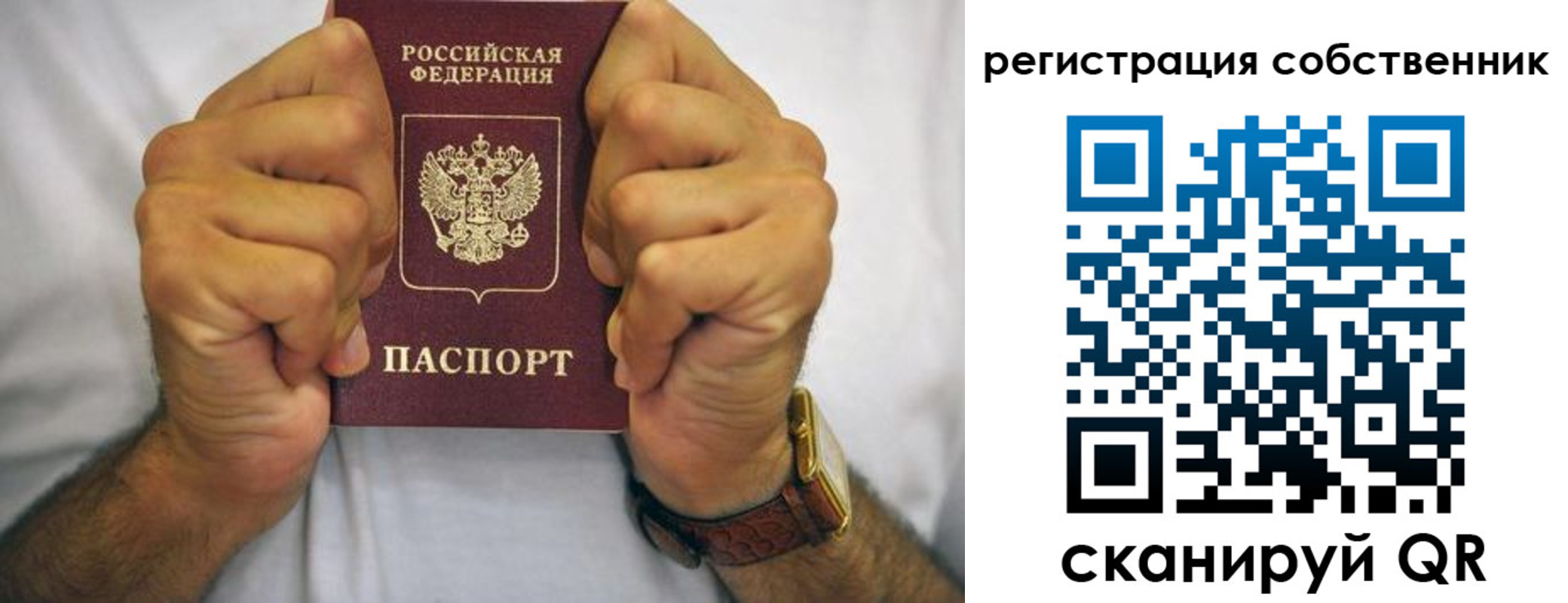 временная регистрация в Коле